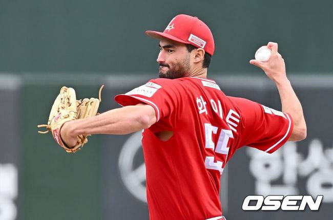 SSG 미치 화이트. /OSEN DB