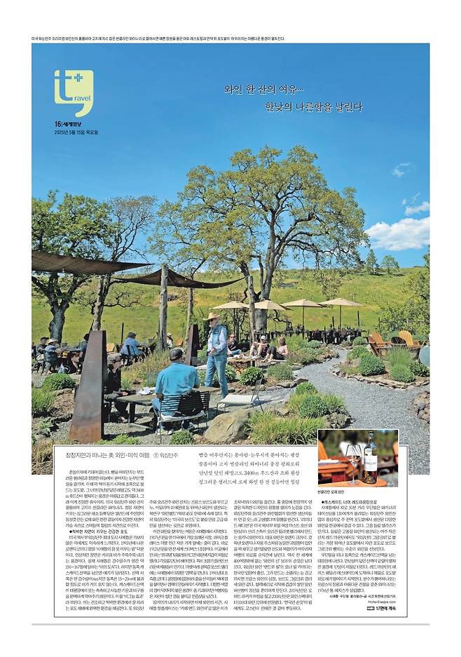 세계일보 여행면. 편집=김창환 기자