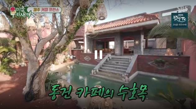 /사진=SBS '미운 우리 새끼'