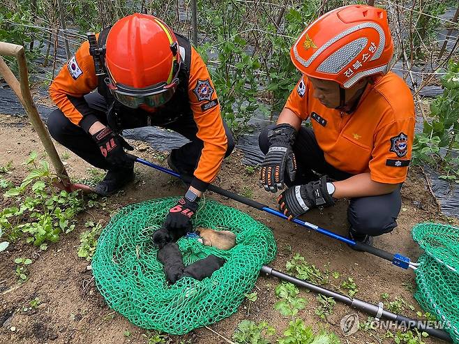 강아지 구조한 소방관들 [순창소방서 제공. 재판매 및 DB 금지]