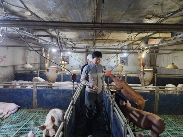 박현식 대표는 연천에서 돼지농장을 운영하며 얻은 수익을 8년 동안 연구개발에 쏟아부었다. /제이비바이오텍 제공