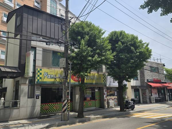 평택시내 가로수와 인근에 위치한 전선들. 시와 한전 평택지사는 전선 주변 가로수 전정작업을 놓고 서로 의견이 갈라져 대책마련이 필요하다는 지적이다. 2025.5.19 평택/김종호기자 kikjh@kyeongin.com