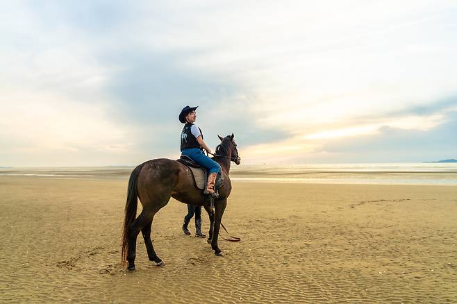 명사십리 해변에 선 말과 기수.