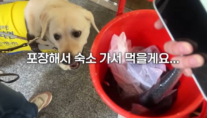 (사진=유튜브 캡쳐)