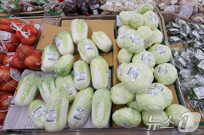 (사진은 기사 내용과 무관함) / 뉴스1 ⓒ News1