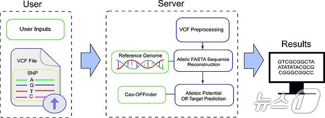 연구 이미지. (부산대 제공. 재판매 및 DB 금지)