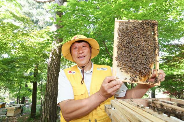 LG가 조성한 토종 꿀벌 서식지에서 김대립 명인이 꿀벌통을 들어 보이고 있다(사진=LG)