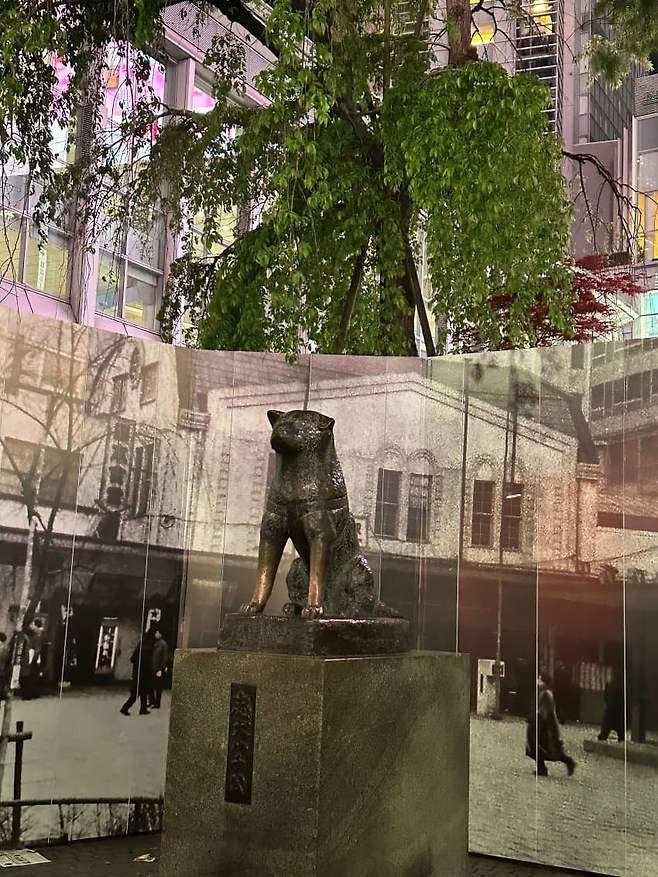 789ef37ec4f36df523eaf2e6459c706a672c0fa1a654dec9f11de7bf2805bbaf80872a445e3232aab7c77b9ef20e584e24f520f191