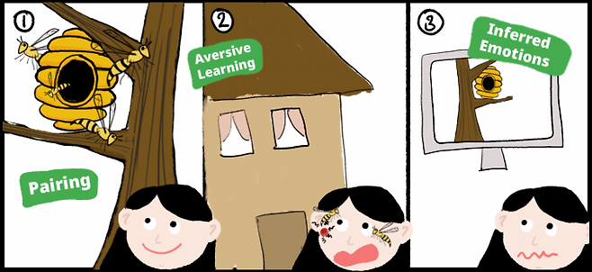 말벌이 벌집을 들락날락하는 모습(pairing)을 평온하게 바라보던 어린이가 말벌에 쏘인 뒤(aversive learning)에는 벌집만 봐도 불안한 감정을 느낀다. 이를 ‘유추 감정(inferred emotions)’이라고 한다. 사진 출처=RIKEN.