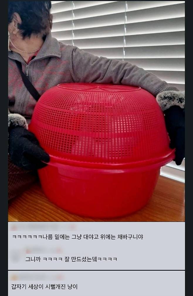 할머니가 개발한 고양이 캐리어