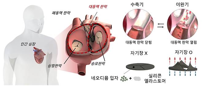 대동맥 판막 구조 생체 모방한 자성 심장판막.[경희대학교 제공]