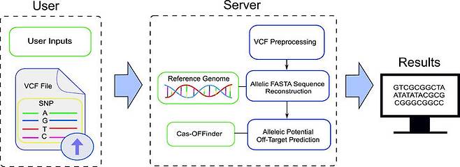 [부산=뉴시스] 부산대 박정빈 교수팀 연구이미지. (사진=부산대 제공) 2025.05.19. photo@newsis.com   *재판매 및 DB 금지