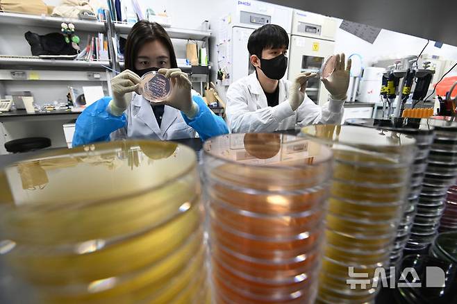 [수원=뉴시스] 김종택 기자 = 19일 경기 수원시 권선구 경기도보건환경연구원에서 연구원들이 식중독균 배양분리작업을 하고 있다.최근 이른 더위가 시작되면서 학교 급식 등 집단급식소 식중독 의심 신고는 총 110건으로 최근 3년 평균(84건)보다 31% 증가했다. 2025.05.19. jtk@newsis.com