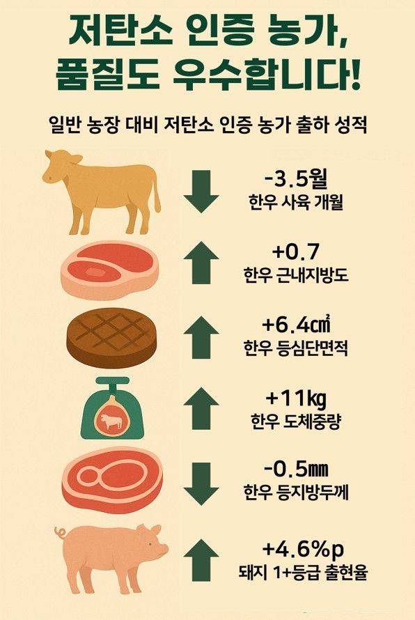 [세종=뉴시스] 축산물품질평가원은 저탄소 축산물 인증을 받은 농장이 일반농장보다 축산물 품질 면에서 우수한 성적을 보이고 있는 것으로 나타났다고 19일 밝혔다. 사진은 관련 인포그래픽. (사진=축평원 제공) 2025.05.19. photo@newsis.com *재판매 및 DB 금지