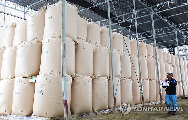 수매한 벼 ※ 기사와 직접적인 관계가 없습니다. [연합뉴스 자료 사진]