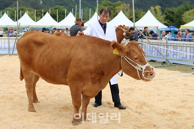 (사진=경기도 제공)