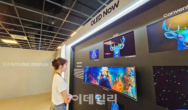 태블릿, 노트북, 모니터 등 다양한 IT OLED 제품을 한 자리에서 살펴볼 수 있는 ‘컴퓨텍스 2025’ 삼성디스플레이 부스 전시존 (사진=삼성디스플레이)