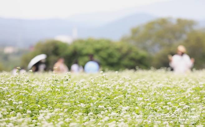 2025.5.18/뉴스1 ⓒ News1 강승남 기자