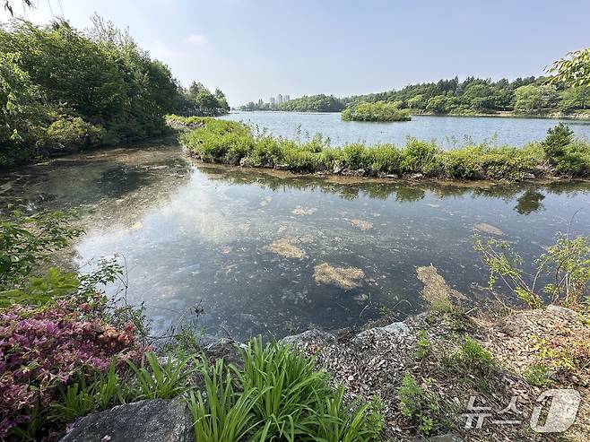 충주 호암지 석축 설치 구간.(재판매 및 DB금지)/뉴스1