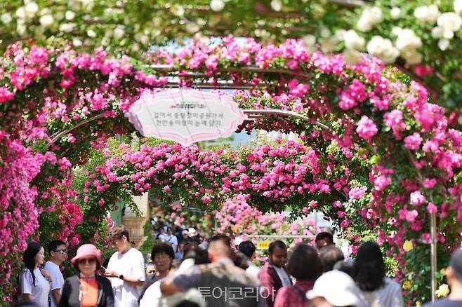 중랑 서울장미축제 /사진-중랑구
