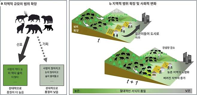 a 국지 규모에서 대형 육상 포유류는 이용 가능한 모든 지역 중 상대적으로 더 높은 질을 가진 서식지를 점유할 가능성이 더 높다. b 장기적인 서식지 확장은 남아 있는 고품질 서식지의 이용 가능성을 제한하고, 점차적으로 지역적 규모에서 절대적인 측면에서 더 낮은 질을 가진 서식지를 점유하게 만든다. 결과적으로, 대형 포유류 종의 서식지는 인간이 지배하는 경관에 더 가깝게 확장될 가능성이 높고 인간과 동물 간 갈등을 증가시킬 가능성이 있다.