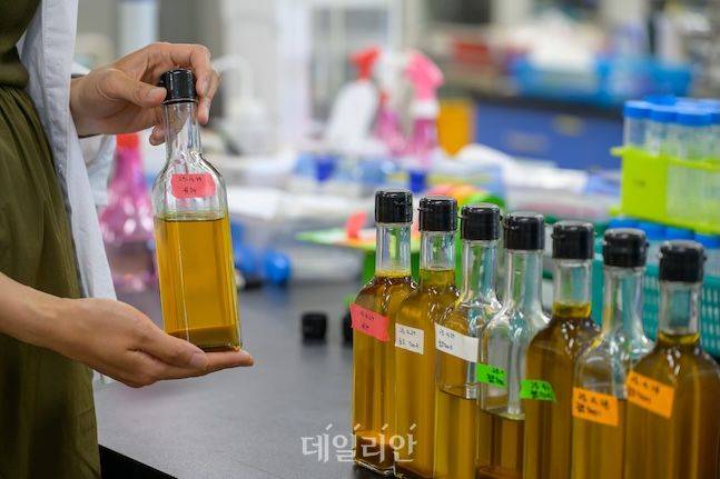 유채 분야는 품질 고급화와 다양한 활용을 위한 연구가 한창이다. 특히 유채유는 기존 팜유 시장에서 친환경 농산물이라는 인식으로 소비 시장의 문을 두드리고 있다. ⓒ데일리안 배군득 기자