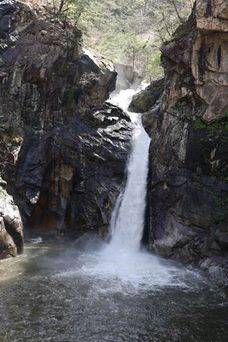 물줄기가 시원하고 힘차게 떨어지는 삼부연폭포