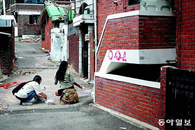 서울 용산구 한남동 재개발 지역 건물 철거가 임박한 가운데 19일 오후 아직 이 구역에 살고 있는 고양이들을 활동가들이 돌보고 있다. 

    변영욱 기자 cut@donga.com