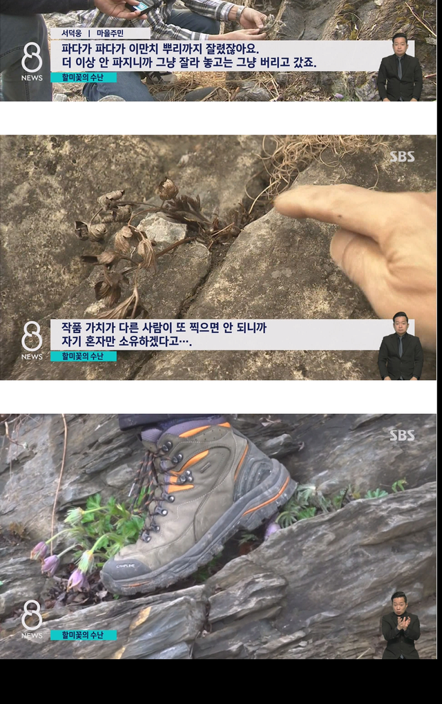 사진작가들이 사진을 찍고나서 훼손하는 이유 사진작가들이 사진을 찍고나서 훼손하는 이유 사진작가들이 사진을 찍고나서 훼손하는 이유