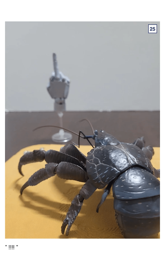 image.png 싱글벙글 9만원짜리 코코넛 크랩.jpg