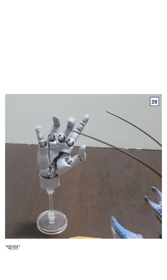 image.png 싱글벙글 9만원짜리 코코넛 크랩.jpg