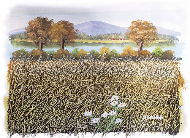 강영애 목사가 서울 서대문구에서 들꽃카페를 시작하며 상징처럼 걸어둔 유화 그림. 강 목사는 세찬 바람에 흔들릴지언정 뿌리째 뽑히지 않는 들꽃처럼, 자신도 하나님의 명령이라면 무엇에도 굴하지 않으며 살아왔다고 말한다. 강 목사 제공