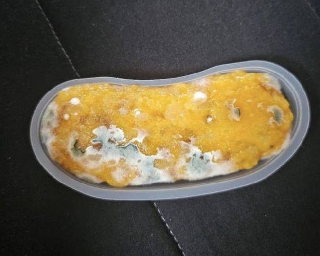 더본코리아가 운영하는 저가 커피 브랜드 빽다방에서 판매하는 가바밥알떡 제품에서 곰팡이가 나왔다는 주장이 제기됐다. /사진=온라인 커뮤니티 갈무리