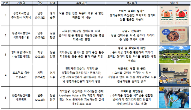 [한국사회적기업진흥원 제공]
