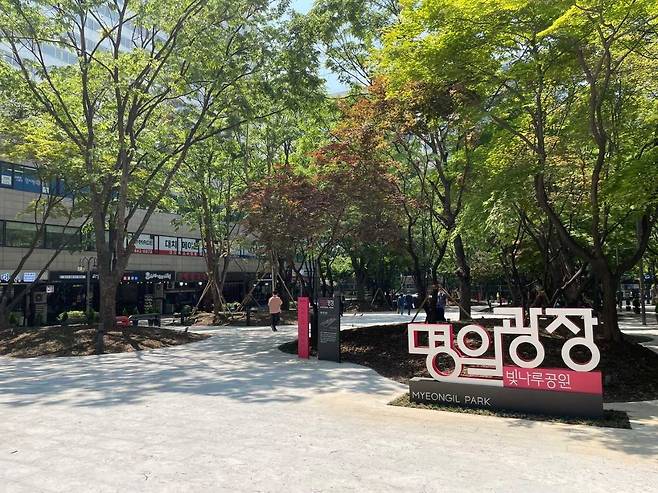 [강동구 제공]