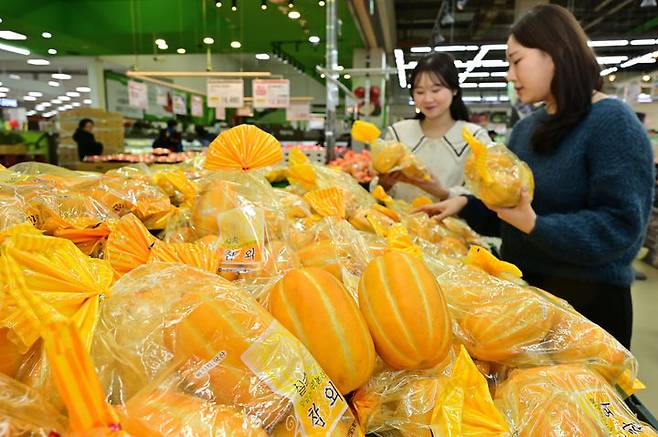 [서울=뉴시스] 배훈식 기자 = 사진은 지난 2월 16일 서울 서초구 하나로마트 양재점에서 판매되는 참외를 직원들이 살펴보고 있는 모습. (사진=농협유통 제공) 2025.02.16. photo@newsis.com *재판매 및 DB 금지