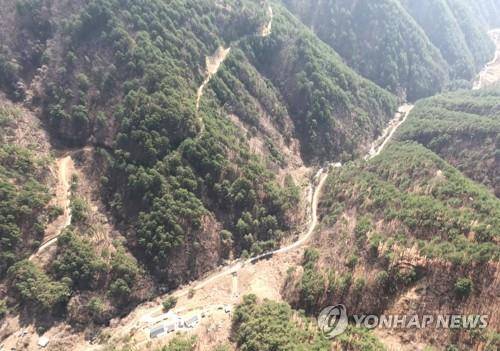 강원도 내 한 임도 [연합뉴스 자료사진]