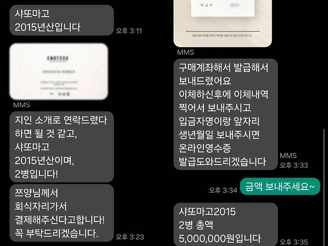 쯔양이 공개한 사칭 피해 문자. 유튜브 채널 'tzuyang 쯔양' 캡처.