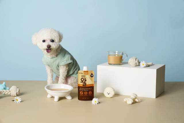 건강하개 프로젝트 왈. 사진제공=hy