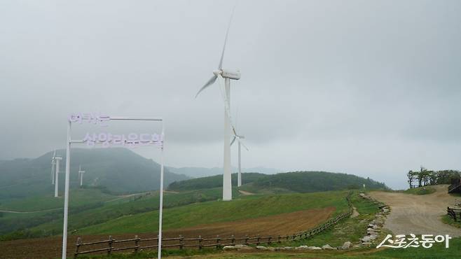 평창 삼양라운드힐 목장의 정상 동해전망대의 풍력발전기. 거센 바람과 물기를 머금은 구름이 정상을 감싸 분위기가 꽤나 극적이다             평창·영월｜김재범 기자 oldfield@donga.com