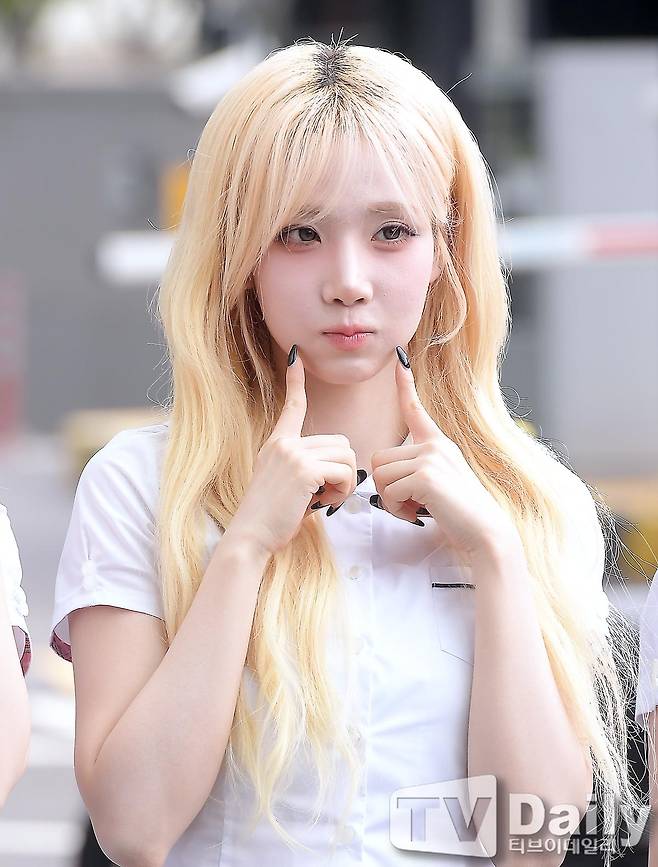 티브이데일리 포토
