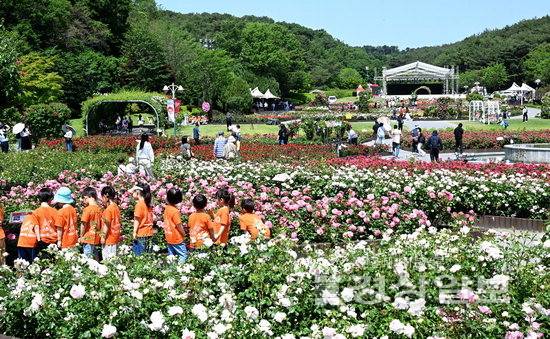 ▲ '2025 울산대공원 장미축제'가 오늘부터 25일까지 5일간 울산대공원 장미원에서 개최된다. 20일 울산대공원 장미원을 찾은 시민과 관광객들이 300만 송이 장미가 전하는 향기와 정취를 감상하고 있다. 김경우기자 woo@ksilbo.co.kr