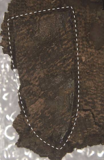 세부 장식. /국가유산청 제공