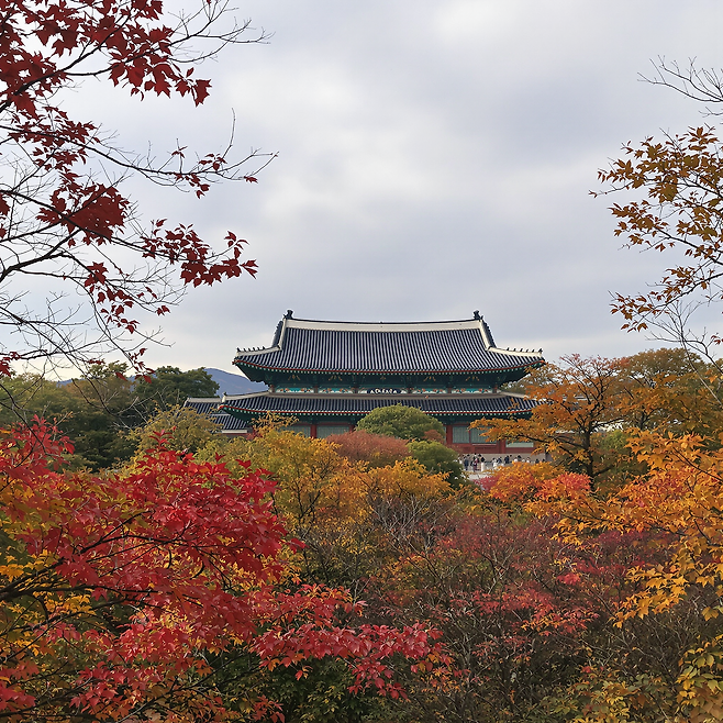 덕수궁 야간개장 시간, 입장료 / 덕수궁 석조전관람예약 | 자동차월드