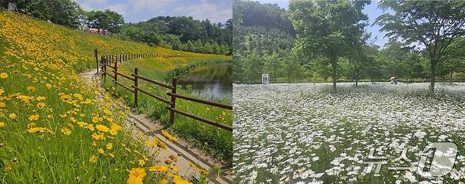 함안군 악양생태공원 전경(함안군 제공. 재판매 및 DB금지).