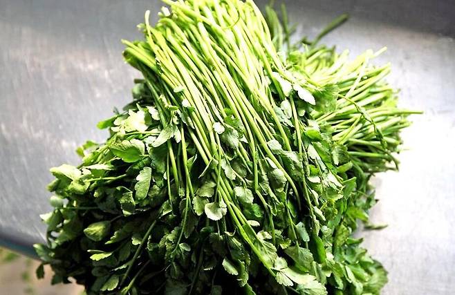 전주 미나리. 사진은 기사와 연관 없음. /전주시 제공