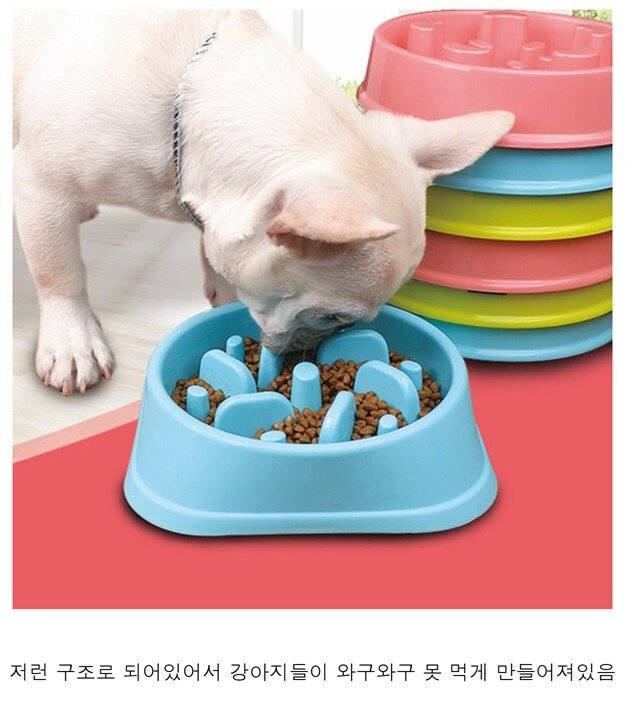 1000015047.png.ren.jpg 강아지 급체 방지 그릇