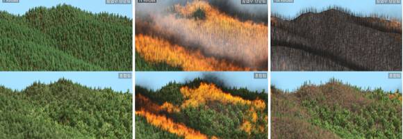 침엽수 단순림(위)과 혼합림(아래) 산불 피해 시뮬레이션. 단순림에서 피해가 더 컸다. [사진=그린피스]