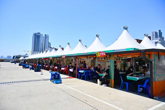 ▲ 지난 20일 속초항 오징어 난전 풍경.