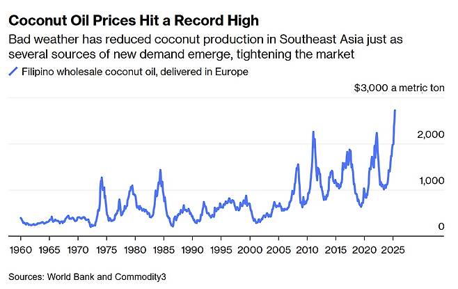 사상 최고치 경신한 코코넛오일 가격(사진=블룸버그 캡처)